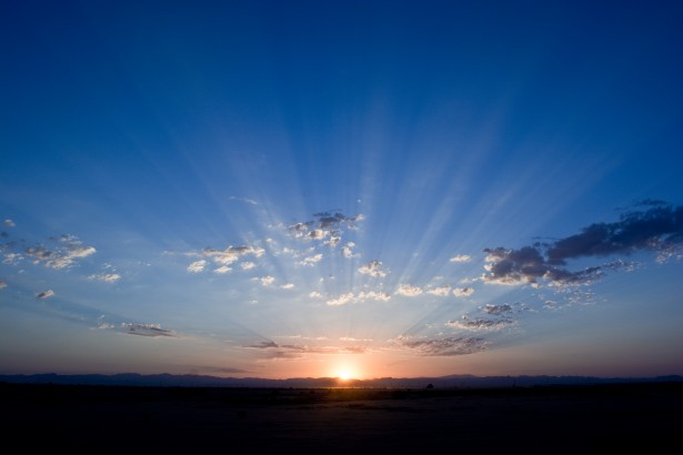 Day 19: Light of the World (John 8:12–30)